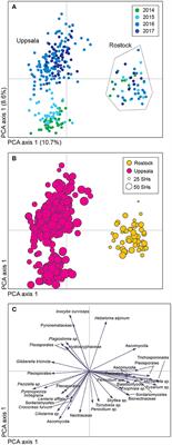 Site-Dependent Relationships Between Fungal Community Composition, Plant Genotypic Diversity and Environmental Drivers in a Salix Biomass System
